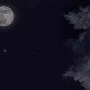 nhân vật bí ẩn