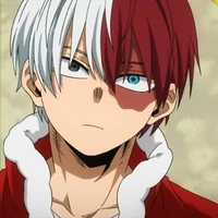 Todoroki Shoto
