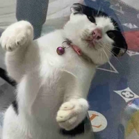 Tùm lum tùm la