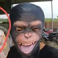ank camera
