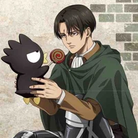 Levi Ackerman 