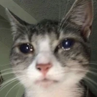 T/g