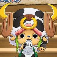 Tony Tony Chopper.