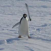 Công túa mỏ hỗn (HS lớp cậu)