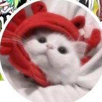 Mie