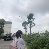 Tác Giả
