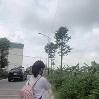 Tác Giả