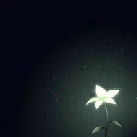？？？