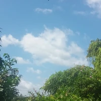 Tác Giả
