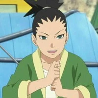 nara shikadai