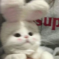 tg