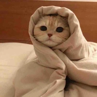 Con tác giả xà lơ