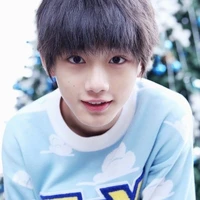 Đinh Trình Hâm(lúc nhỏ)