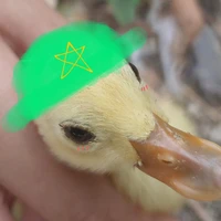 cục cứk