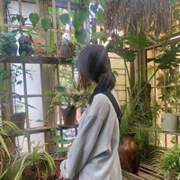 Lâm Đồng Chi