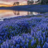 All (trừ ai thì trừ)