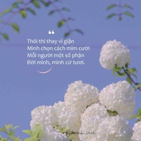 Hội báo