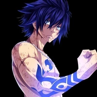 Gray Fullbuster