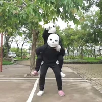 tiểu sans