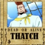 thatch