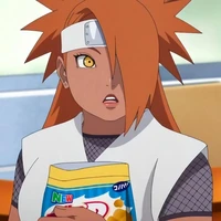 Akimichi Chocho ( Boruto )