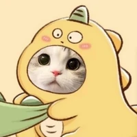 T/g cuti