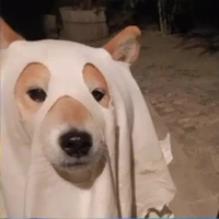 This is t/g(Vi_chan-Hệ thống Vivi-179)