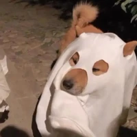 Em họ t/g(Đám mây cô đơn -Hương)