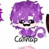 Hiha Catnap
