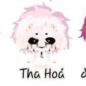 HiHa Tha Hóa