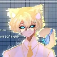 Hiha Anti catnap