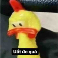 Nhỏ tác giả