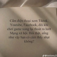 T/g thích SE