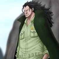 Monkey D Dragon.