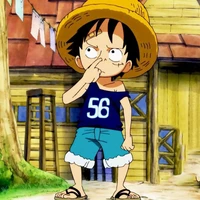 Shin
