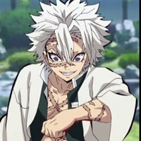 Shinazugawa Sanemi• Phong trụ