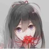 Noha