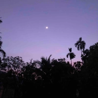 Tất cả mọi người 