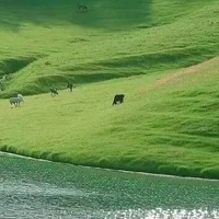 bố mày cân tất