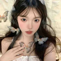 Nguyễn Thanh Thảo-Hozi