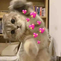 Tgiacutii
