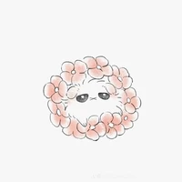 Shiro