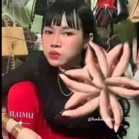 Tác Giả