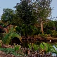 all ( ai cần trừ)