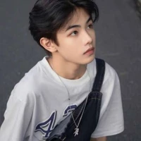 vũ văn phong