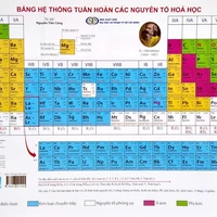 tất cả mn