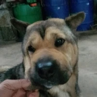 thệ thống 001[t/g]