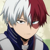 Todoroki Shouto