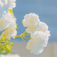 người đọc các câu nói