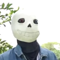lost sans